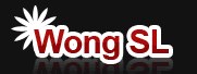Wong SL_ Effektive Text-Werbung auf Mister Wong-1.jpg